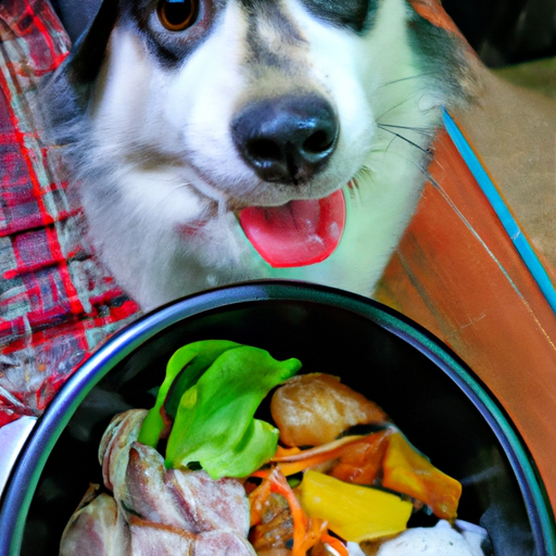 People Food for Dogs: A Comprehensive Guide