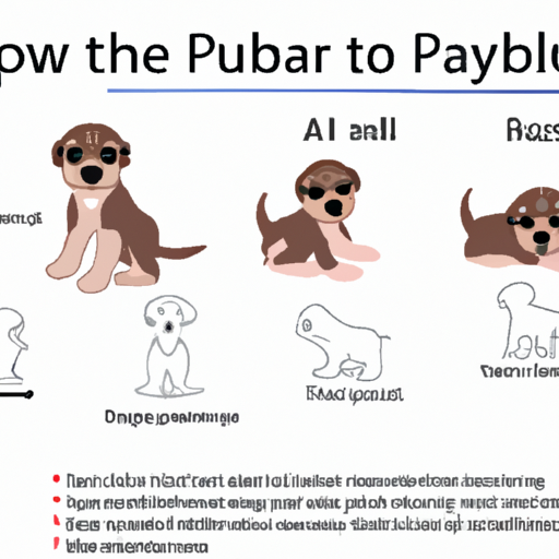 Âge du chiot : comprendre les étapes de développement de votre ami à quatre pattes