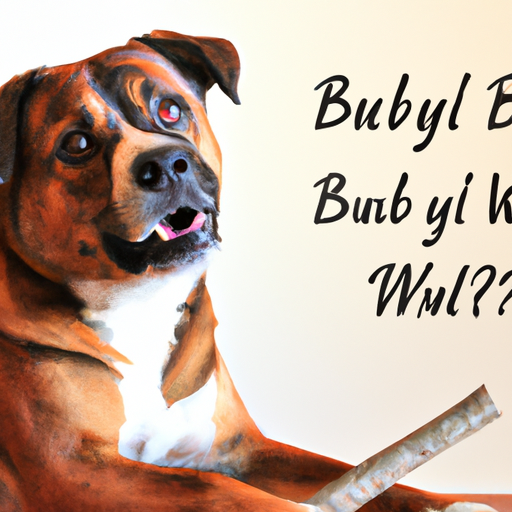 What Are Bully Sticks for Dogs?