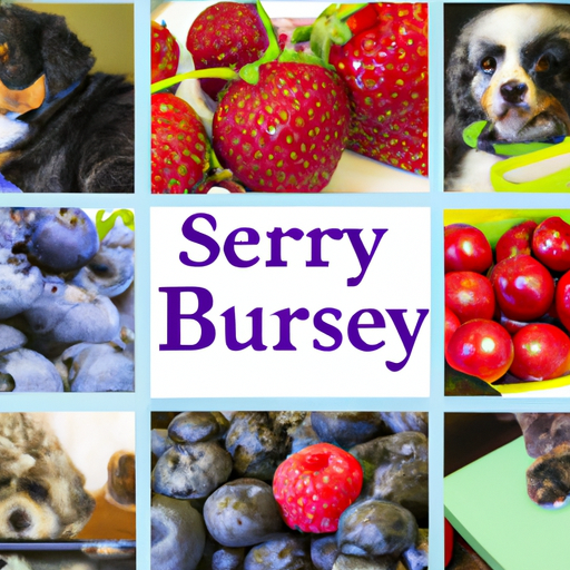 What Berries are Toxic to Dogs