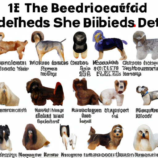 What Breeds of Dogs Don’t Shed