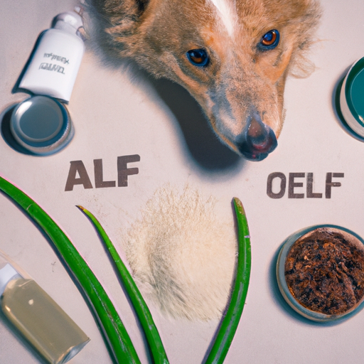 What Can You Put on Dogs for Dry Skin?