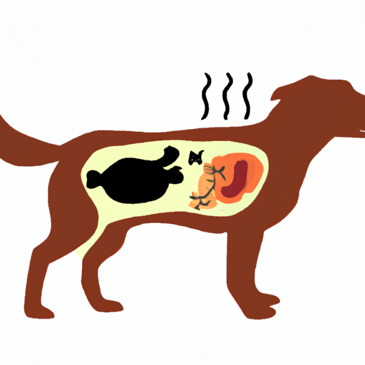 What Causes Colitis in Dogs?