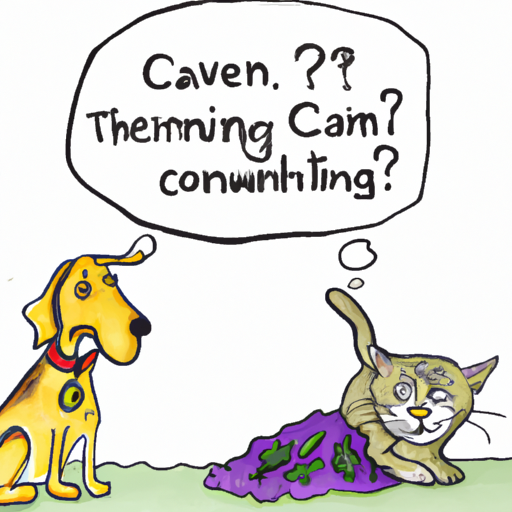 What Does Catnip Do For Dogs?