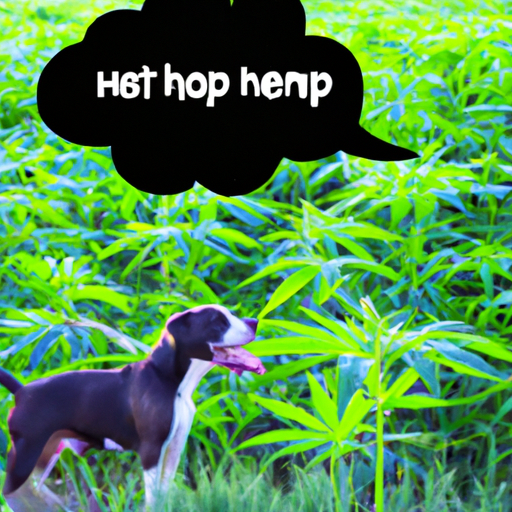 What Does Hemp Do for Dogs?