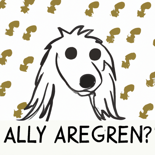 What Does Hypoallergenic Dogs Mean?