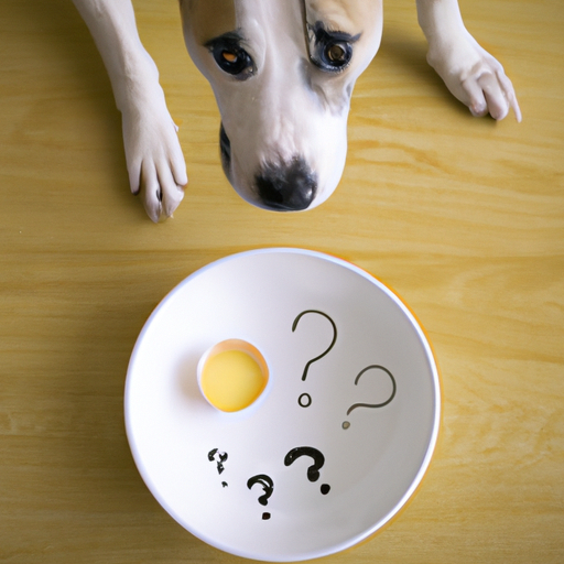 What Does Raw Eggs Do for Dogs?