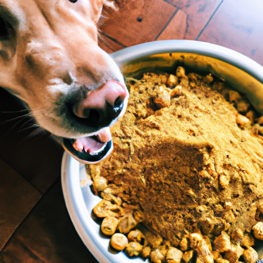 What Does Turmeric Do for Dogs?