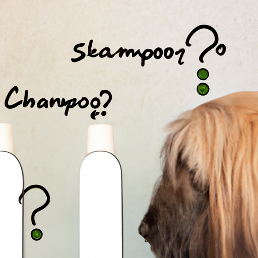 What Human Shampoo is Safe for Dogs?