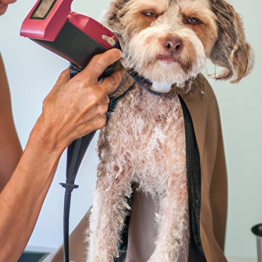 What is a Sanitary Trim for Dogs?