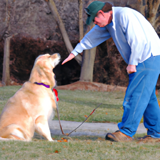 What is Heel for Dogs?