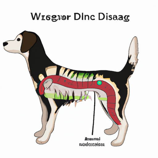 What is IVDD in Dogs?