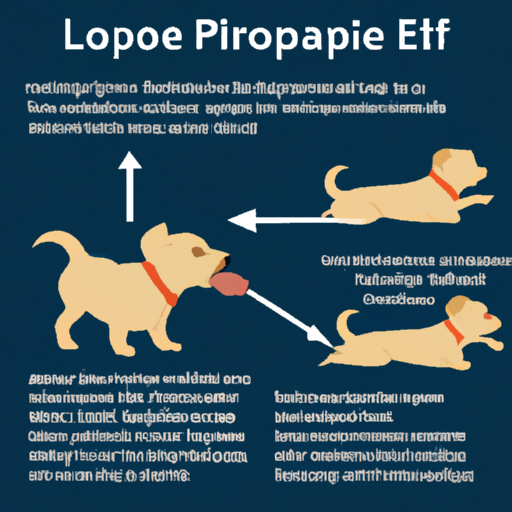 What is Lepto Shot for Dogs?