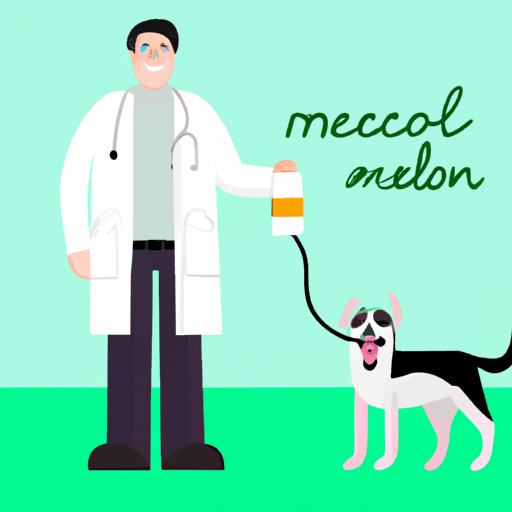 What is Meloxicam Used for in Dogs?
