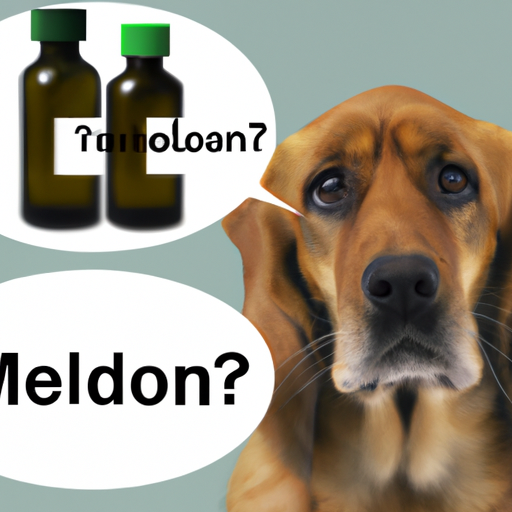 What is Meloxidyl for Dogs?