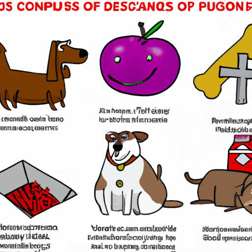 What is Poisonous for Dogs?