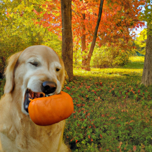 What is Pumpkin Good for in Dogs?
