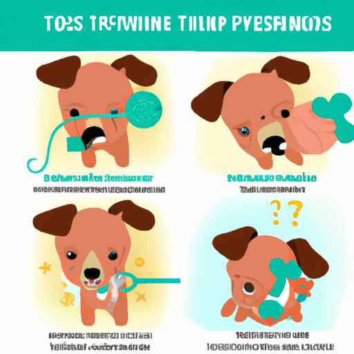 What is Teething for Dogs