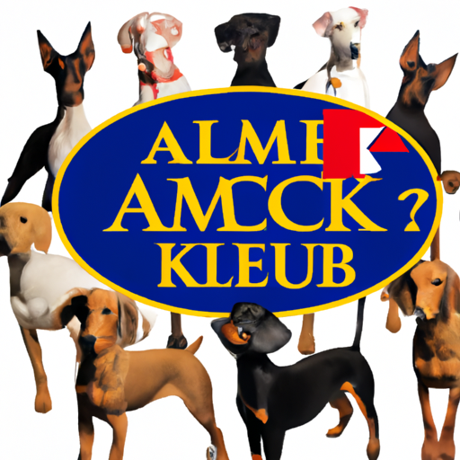 What is the AKC for Dogs?