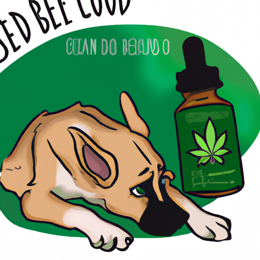 What is the Best CBD for Dogs With Anxiety?