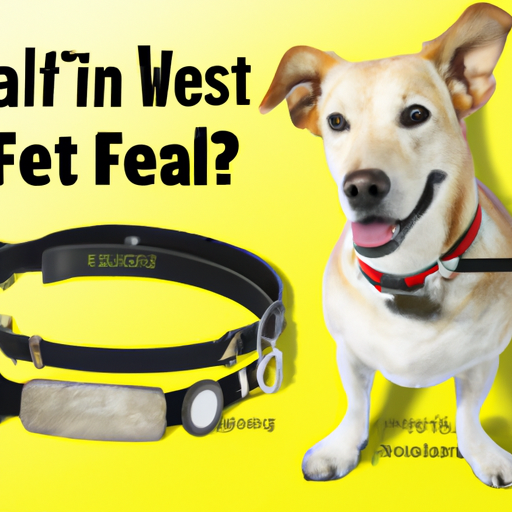 What is the Best Flea Collar for Dogs?