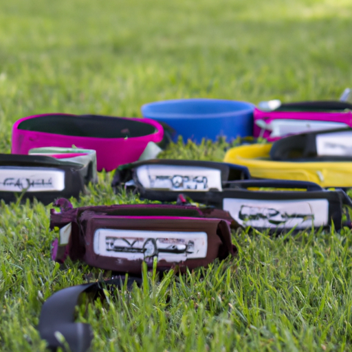 What is the Best Training Collar for Dogs?