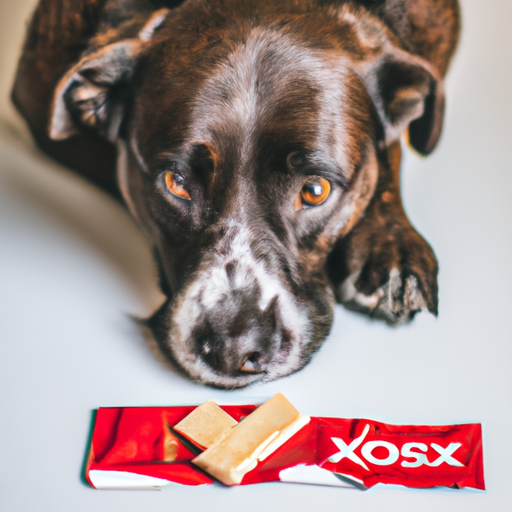 What Kind of Chocolate is Bad for Dogs?