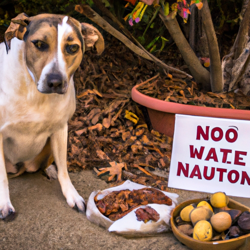 What Nuts Can Dogs Not Eat?