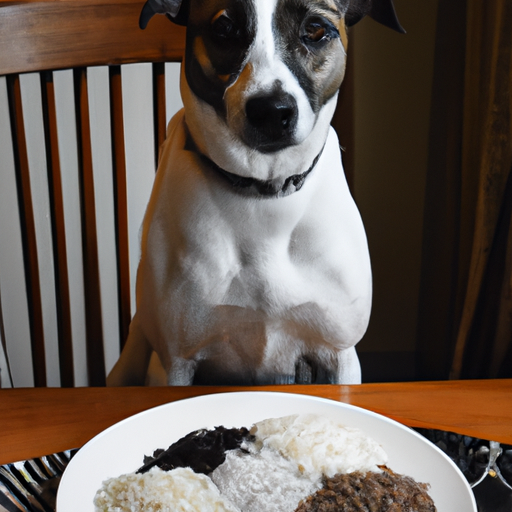 What Rice Can Dogs Eat?