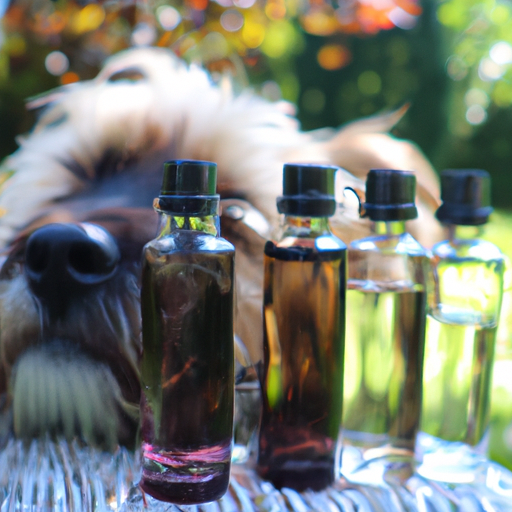 What Scents are Safe for Dogs?