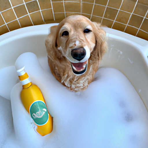 What Shampoo Can You Use on Dogs?