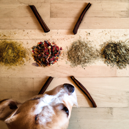 What Spices Can Dogs Have?