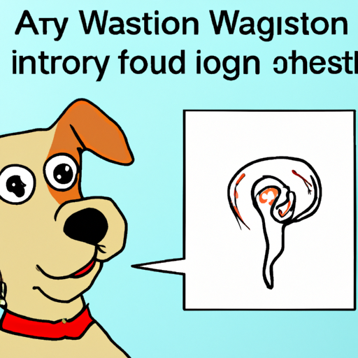 What to do for Yeast Infection in Dogs Ears: