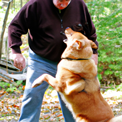 What to do with Aggressive Dogs