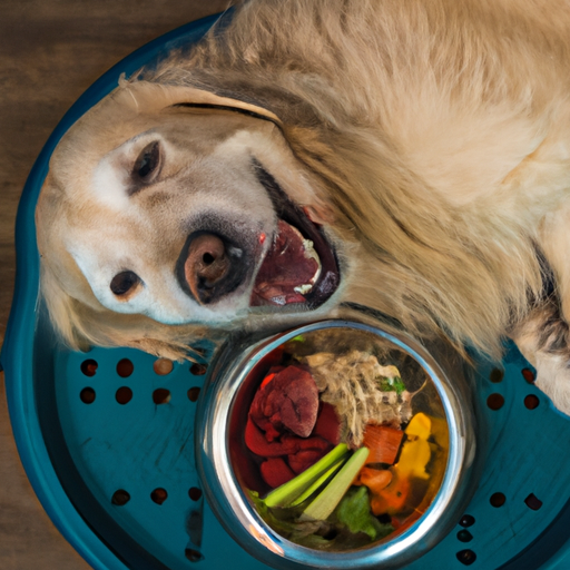 What to Feed Old Dogs: A Comprehensive Guide