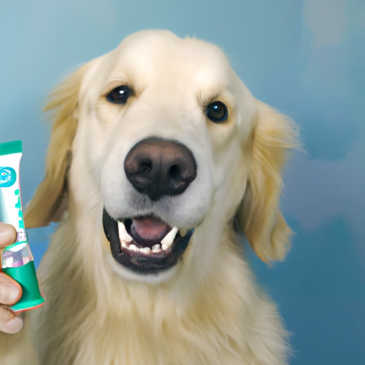 What Toothpaste is Safe for Dogs?