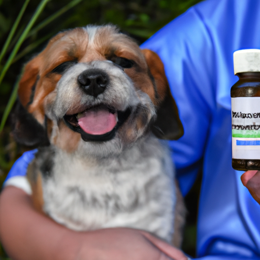 What Type of Benadryl is Safe for Dogs?