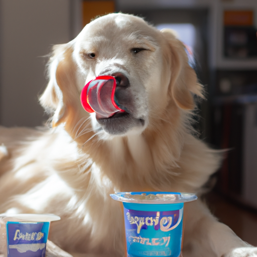 What Yogurt Can Dogs Have?