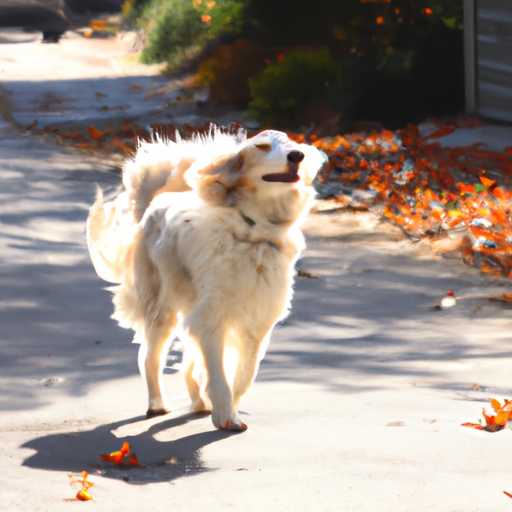 When Do Dogs Blow Their Coat