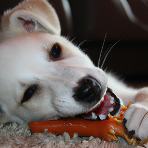 Quand les chiens perdent-ils les dents de leur chiot