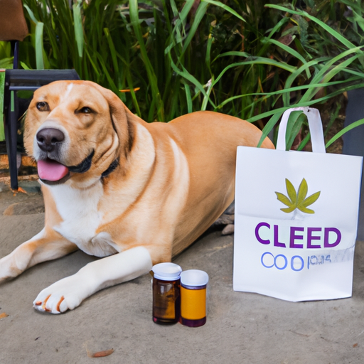 Where to Buy CBD for Dogs