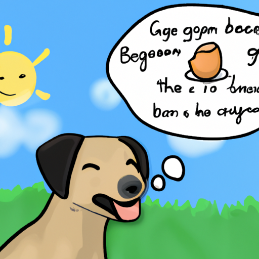 Why Are Eggs Good For Dogs?