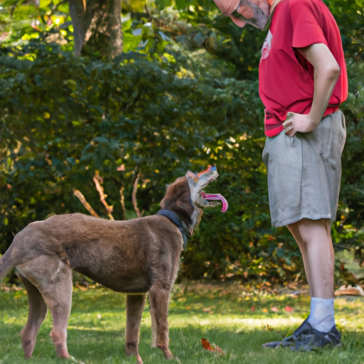 Why Are My Dog’s Back Legs Weak?