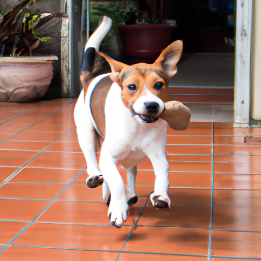 Why Do Dogs Bring Toys When You Come Home?