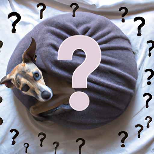 Why Do Dogs Curl Up in a Ball?