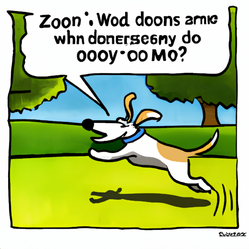 Why Do Dogs Do Zoomies?