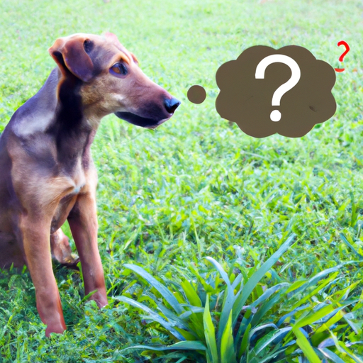 Why Do Dogs Eat Grass and Weeds?