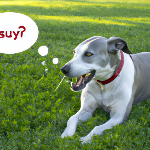 Why Do Dogs Eat Grass Sometimes?