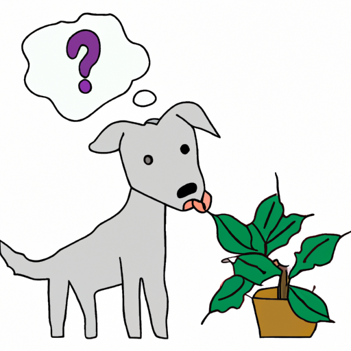 Why Do Dogs Eat Plants?