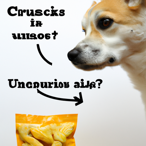 Why Do Dogs’ Feet Smell Like Corn Chips?